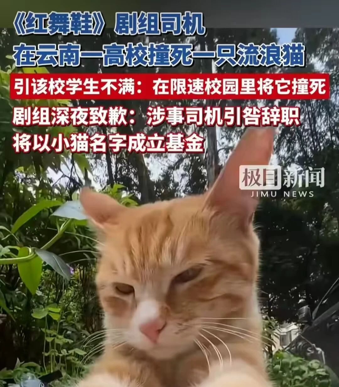 1764124321658122.jpg 6.jpg