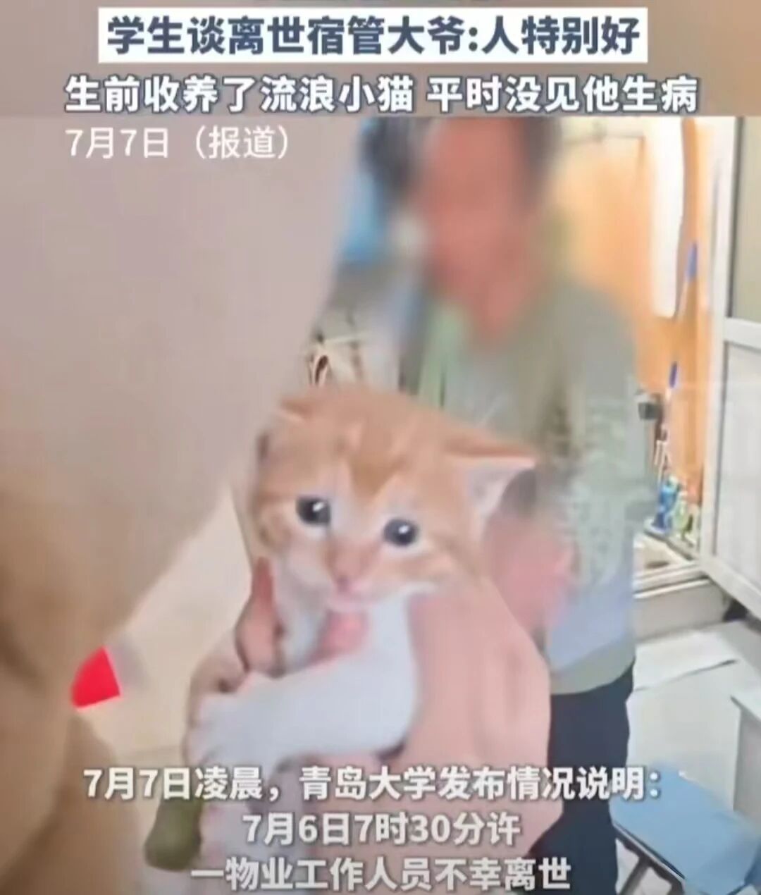 1764138873337164.jpg 2.jpg